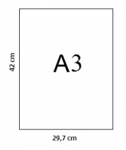 Kopijavimo popierius baltas A3, 80gr. 1lapas