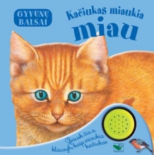 Kačiukas miaukia miau