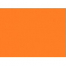 Kartonas A4, 10lapų 225g PENWORD oranžinis (Saffron)