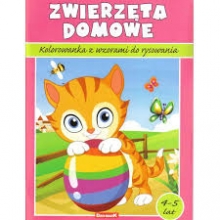 Spalvinimo knygelė