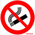 Teritorijoje rūkyti draudžiama 200x300mm