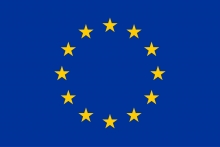 Vėliava Europos Sąjungos spausta šilkografija 100x170 cm dėžutėje stiebinė
