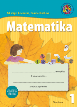 Matematikos pratybų sąsiuvinis 1 klasė 1 dalis