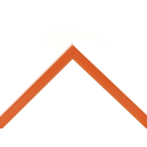 Rėmelis AURA 1303039 21x29,7 cm. plastikinis oranžinės spalvos