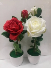 Dekoratyvinė rožė vazone 34cm