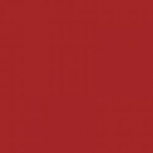 Kartonas A4 160g., 20 lapų PROTOS bordo spalvos