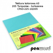 Kartonas A3 10l. 225g PENWORD šviesiai mėlynas