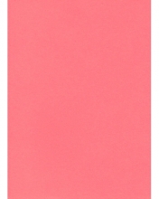 Popierius A4 75g 100lapų PROTOS rožinis (FLUO)