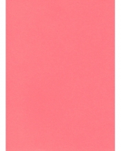 Popierius A4 75g 100lapų PROTOS rožinis (FLUO)