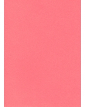Popierius A4 75g 100lapų PROTOS rožinis (FLUO)