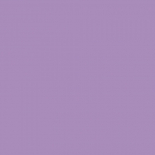 Popierius A4. 160g. 50 lapų PROTOS violetinis