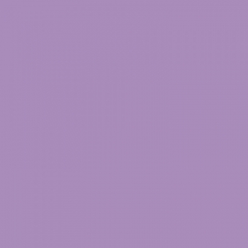 Popierius A4. 160g. 50 lapų PROTOS violetinis