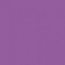 Kartonas A4 160g., 20 lapų PROTOS violetinės spalvos