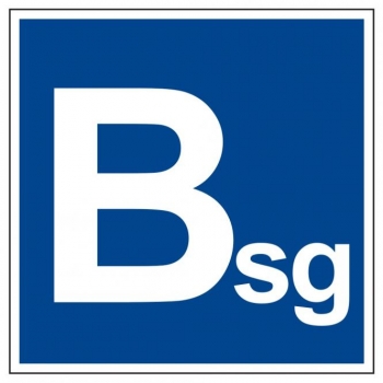 Lipdukas ženklas patalpos arba statinio gamybos kategorija ,,Bsg,Bg,Eg,Egi,Dgi,Cgi,Bsgi,Asgi,Asg,