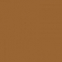 Kartonas A3 160g., 20 lapų PROTOS rudos spalvos