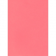 Spalvotas kartonas A3, 160g., 20 lapų, PROTOS FLUO rožinės spalvos