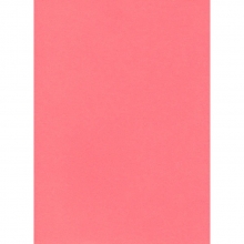 Spalvotas kartonas A3, 160g., 20 lapų, PROTOS FLUO rožinės spalvos
