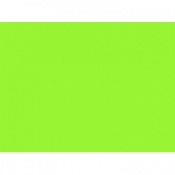 Spalvotas kartonas A3, 160g., 20 lapų, PROTOS FLUO žalios spalvos