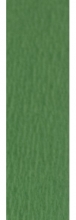 Krepinis popierius žalios spalvos 50x200cm