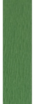 Krepinis popierius žalios spalvos 50x200cm