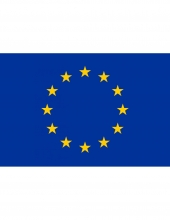 Vėliava Europos Sąjungos spausta šilkografija 100x170 cm dėžutėje