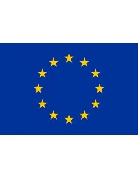 Vėliava Europos Sąjungos spausta šilkografija 100x170 cm dėžutėje