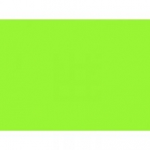 Popierius A4 155gm2 50l. PROTOS žalias (FLUO)