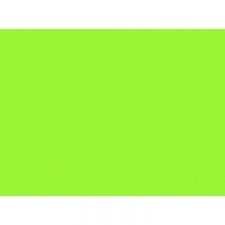 Popierius A4 155gm2 50l. PROTOS žalias (FLUO)