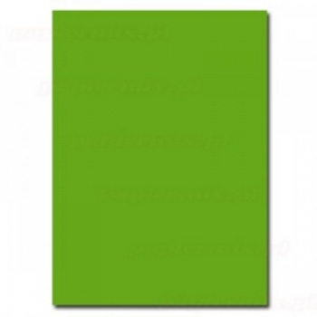 Popierius A4, 160g, 50lapų PROTOS, žalias