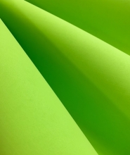 Putgumės lapas A2, žalios spalvos
