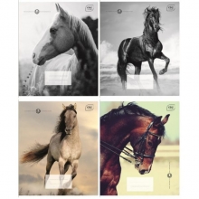 Sąsiuvinis 12l.lang. HORSES INTERDRUK 70 gm²