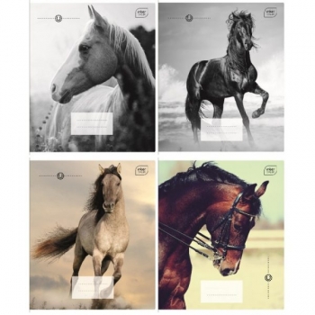 Sąsiuvinis 12l.lang. HORSES INTERDRUK 70 gm²