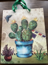 Dovanų maišelis Kaktusas 31x26x10cm