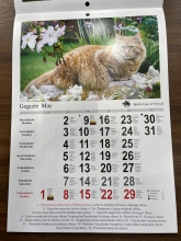 Kalendorius 2026 verčiamas A4