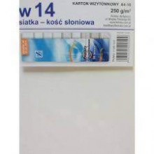 Kartonas vizitinėms kortelėms A4 15l. 250g lygus sidabrinis