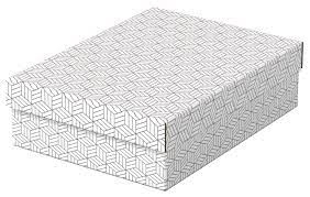 Daiktadėžė Esselte su dangteliu 265x100x360 balta pilka