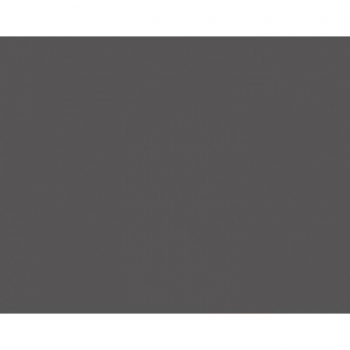 Kartonas A3/25l., 170g.m2, grafitinis