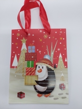 Kalėdinis dovanų maišelis 18x23,5