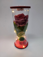 Dekoracinė rožė stikliniame cilindre su LED lemputėmis, 8,5x8,5x20cm