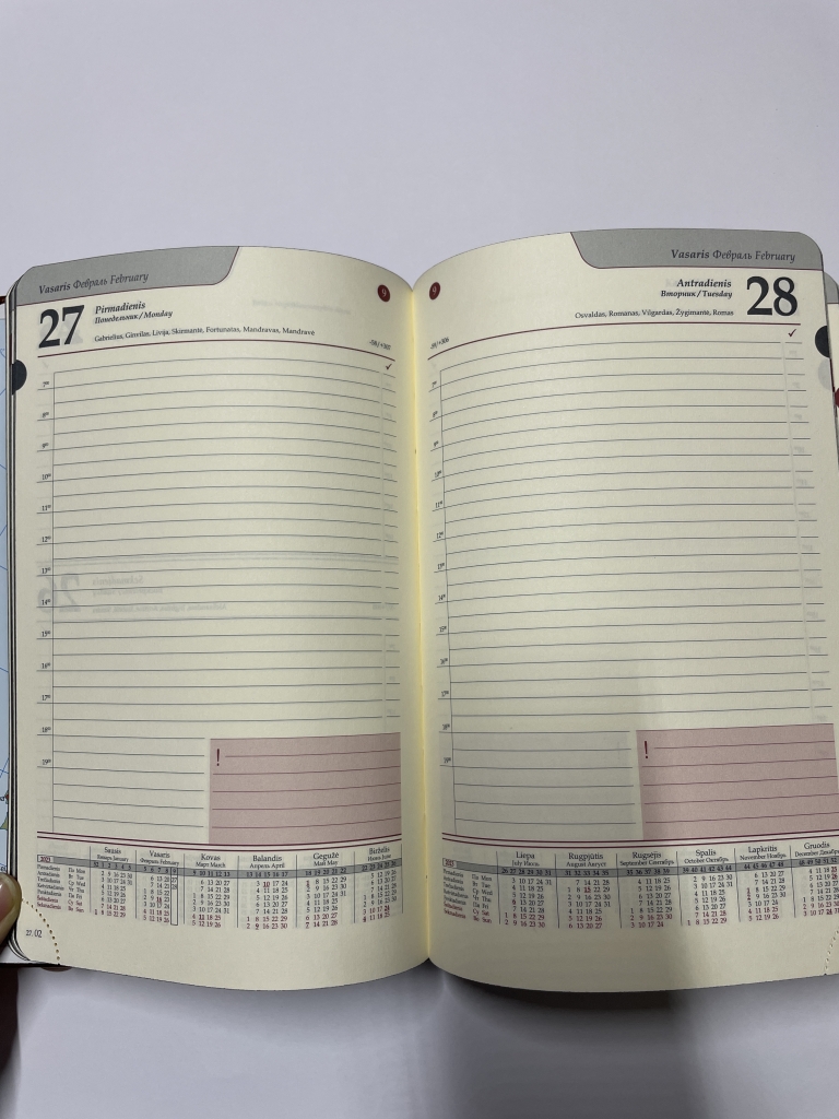 Kalendorius VADOVAS AMBASSADOR A5, 2026m rudos sp.