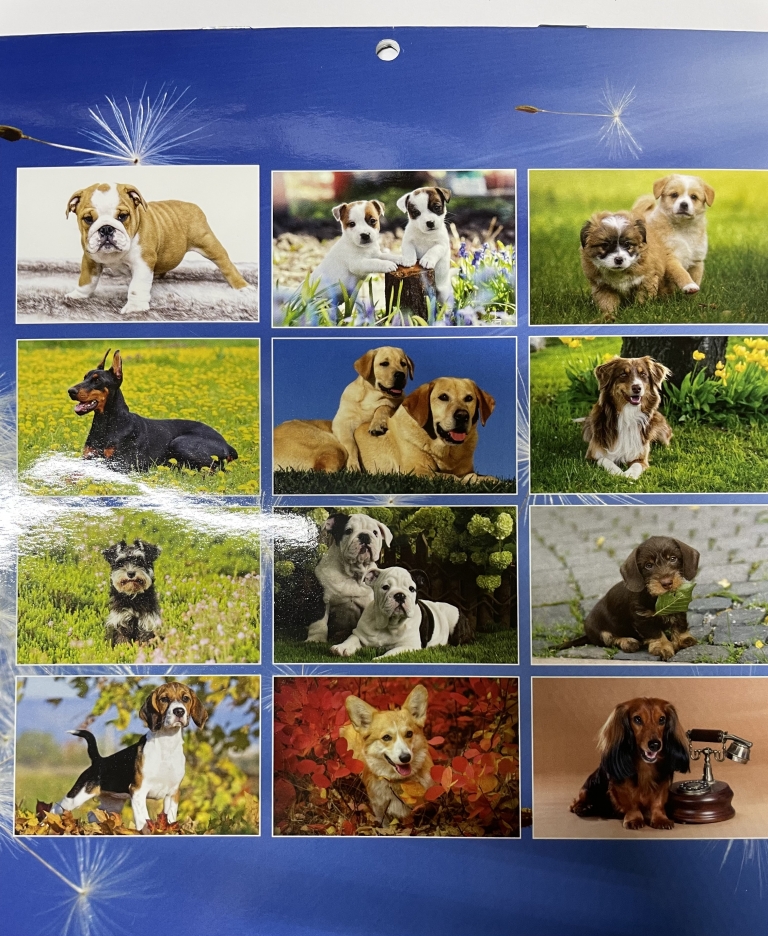 Kalendorius 2026 verčiamas A4