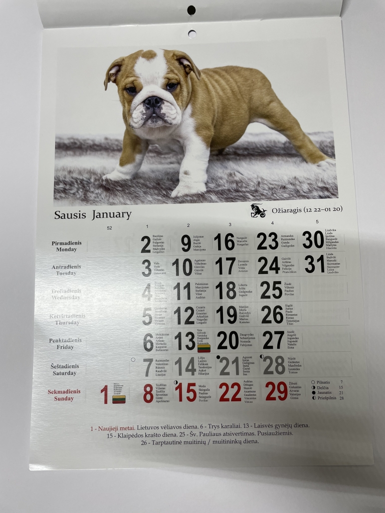 Kalendorius 2026 verčiamas A4
