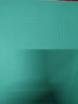 Segtuvėlis A4 L kartoninis žalias su dviem vidinėm kišenėm