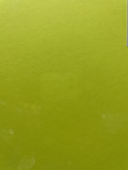 Kartonas vizitinėms kortelėms A4 20l. 245g fluo gelt