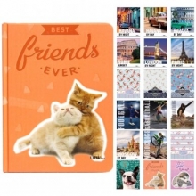 Sąsiuvinis A5 80l. langeliais 70g kietu viršeliu Best Friend UniLine
