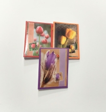 Albumas GED 4636DPH 10 x 36 candy, kišeninis
