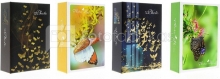 Albumas GED MM46100 FLY 10x15 cm kišeninis klijuotas