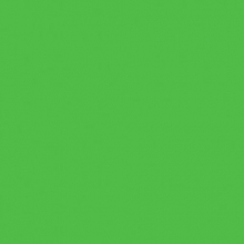 Kartonas A4 170g. žalios spalvos