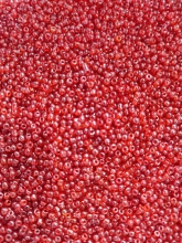 Biseris 20g, 2mm,šviesiai raudonas blizgus (105)
