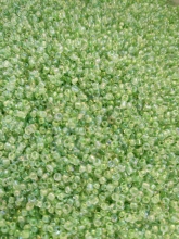 Biseris 20g, 1-2mm, šviesiai žalias blizgus (212)